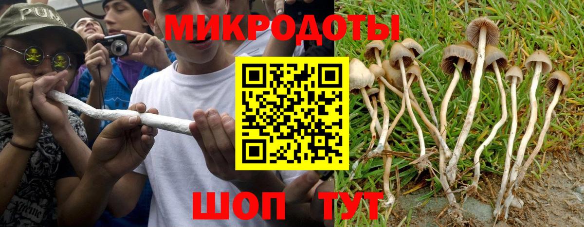 Кимры  Галлюциногенные грибы Magic Shrooms  Вход с VPN  Галлюциногенные грибы Psilocybe 